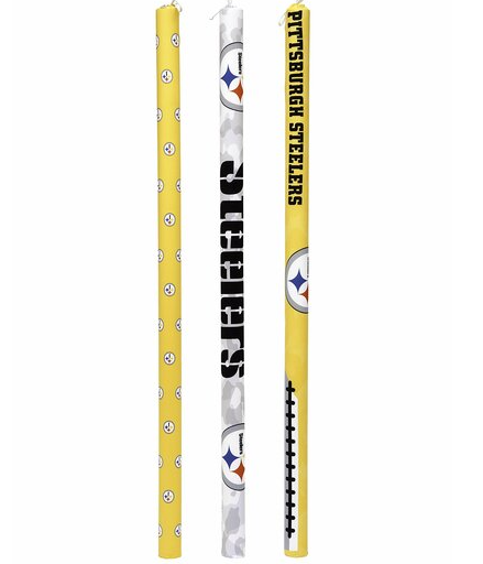 STEELERS POOL NOODLE